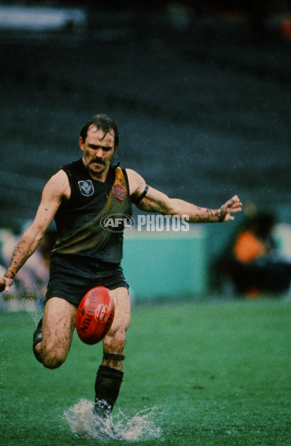 VFL 1989 - Richmond Tigers - 30435
