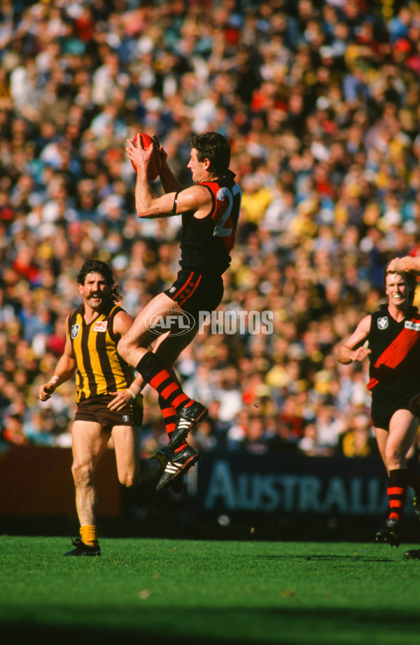 VFL 1989 - Essendon Bombers - 30353