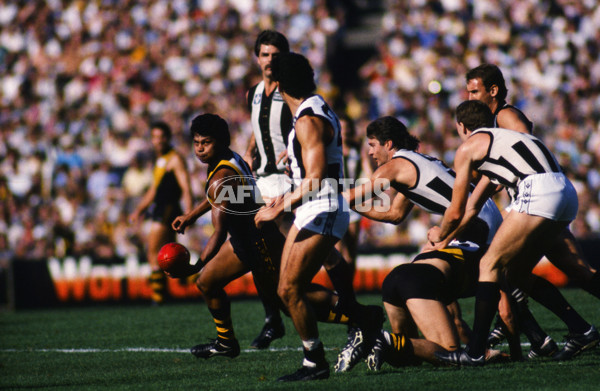VFL 1985 - Collingwood v Richmond - 30471