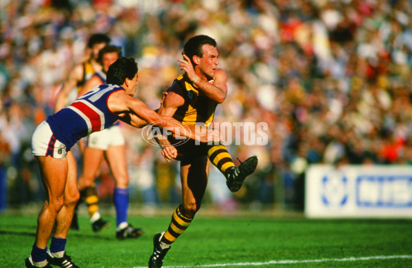 VFL 1985 - Hawthorn v Footscray - 30892