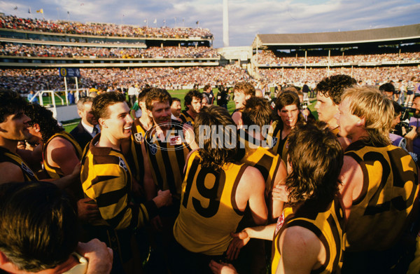 1989 VFL Grand Final - Hawthorn v Geelong - 21453