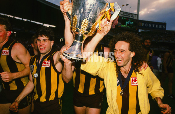 VFL 1989 Grand Final - Hawthorn v Geelong - 23476
