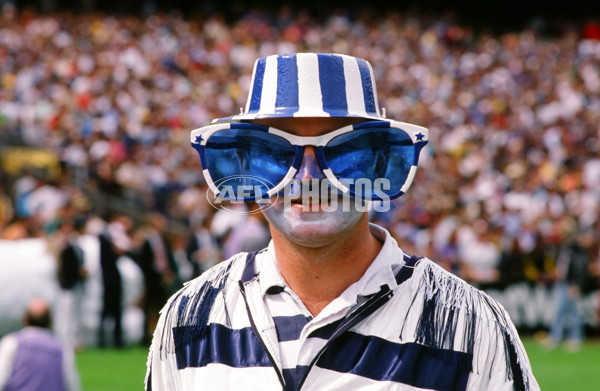 1989 VFL Grand Final - Hawthorn v Geelong - 20721