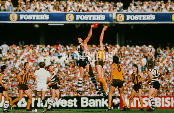 VFL 1989 Grand Final - Hawthorn v Geelong - 23128