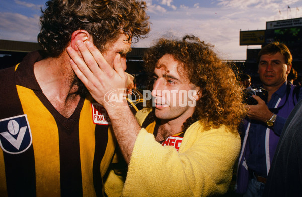 VFL 1989 Grand Final - Hawthorn v Geelong - 23110