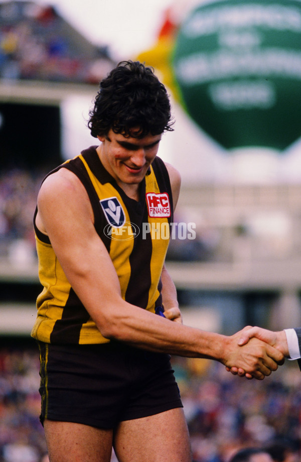 VFL 1989 Grand Final - Hawthorn v Geelong - 23288