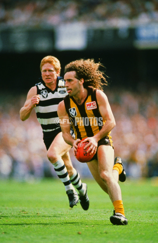 VFL 1989 Grand Final - Hawthorn v Geelong - 23579