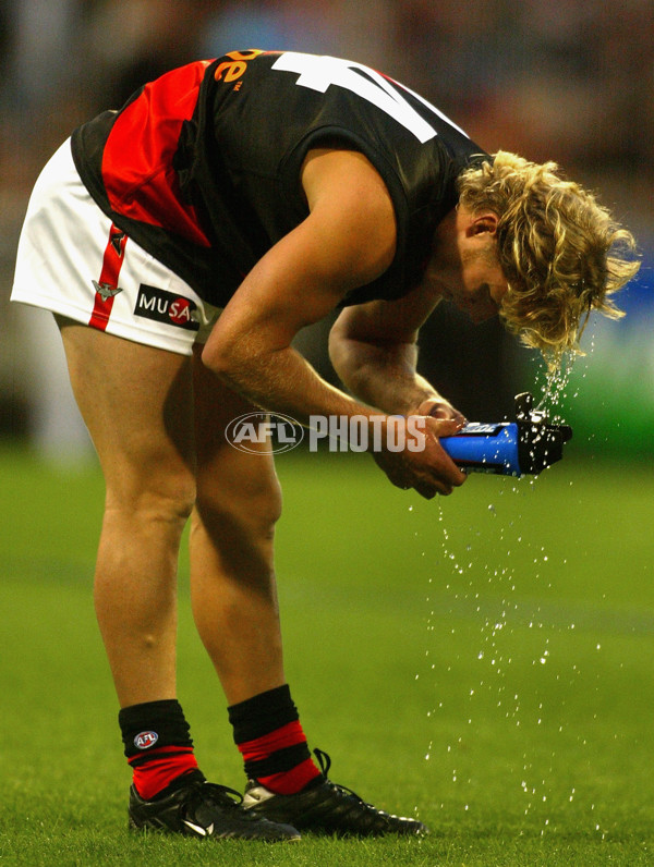 AFL 2002 Rd 1 - Essendon v Geelong - 132103
