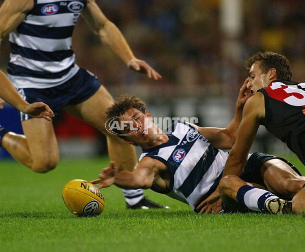 AFL 2002 Rd 1 - Essendon v Geelong - 132771