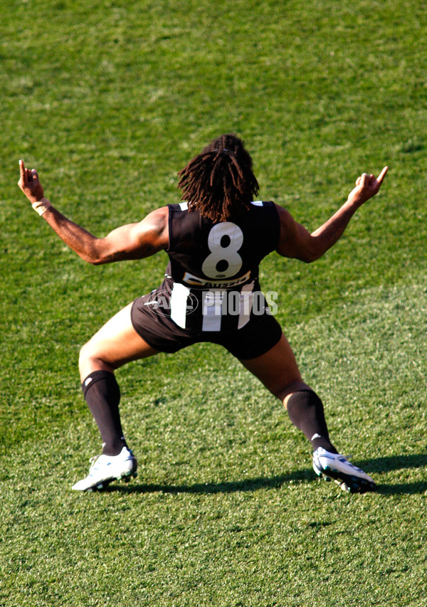 AFL 2010 Toyota Grand Final Replay - Collingwood v St Kilda - 219515