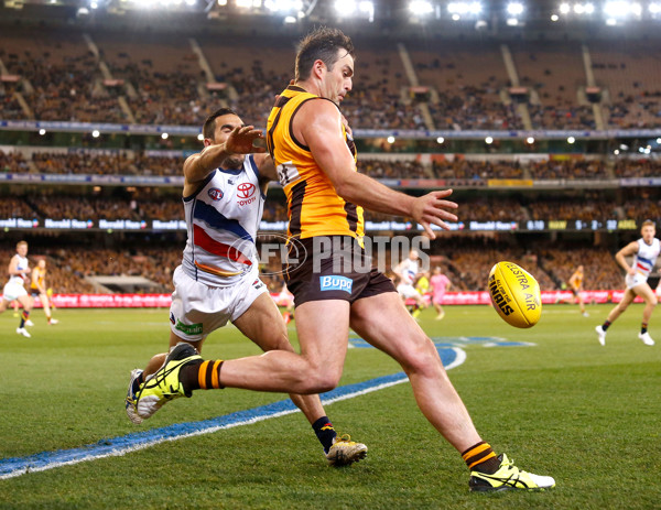 AFL 2015 Second Semi Final - Hawthorn v Adelaide - 404296