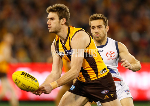 AFL 2015 Second Semi Final - Hawthorn v Adelaide - 404304