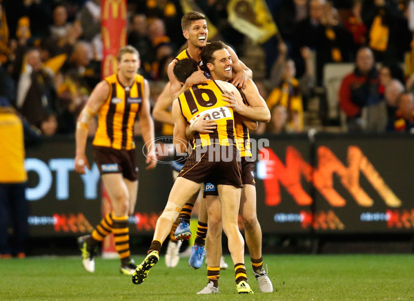 AFL 2015 Second Semi Final - Hawthorn v Adelaide - 404281