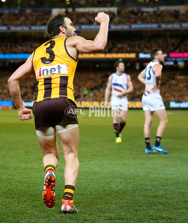 AFL 2015 Second Semi Final - Hawthorn v Adelaide - 404376