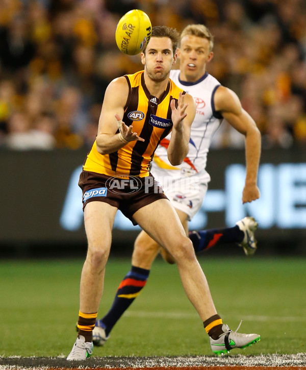 AFL 2015 Second Semi Final - Hawthorn v Adelaide - 404299