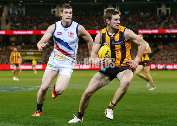 AFL 2015 Second Semi Final - Hawthorn v Adelaide - 404282
