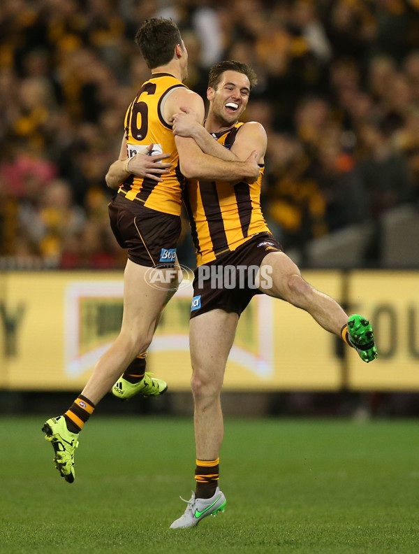 AFL 2015 Second Semi Final - Hawthorn v Adelaide - 404295