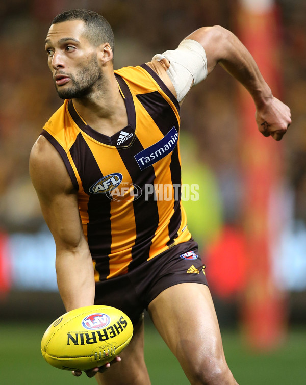 AFL 2015 Second Semi Final - Hawthorn v Adelaide - 404377
