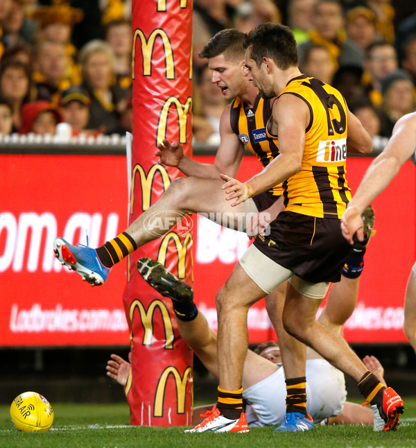 AFL 2015 Second Semi Final - Hawthorn v Adelaide - 404333