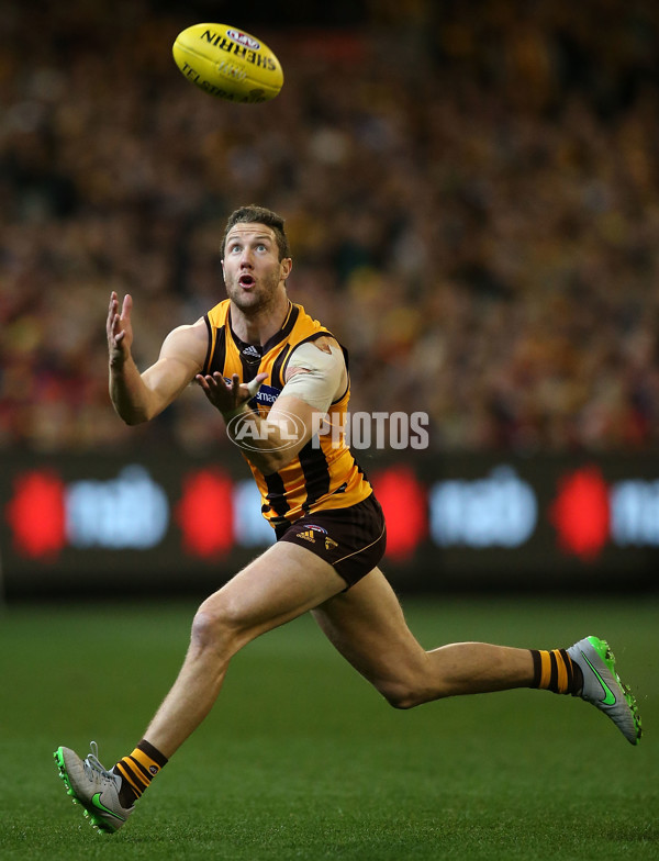 AFL 2015 Second Semi Final - Hawthorn v Adelaide - 404374