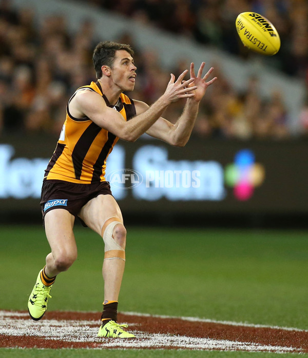 AFL 2015 Second Semi Final - Hawthorn v Adelaide - 404386