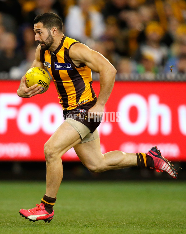 AFL 2015 Second Semi Final - Hawthorn v Adelaide - 404426