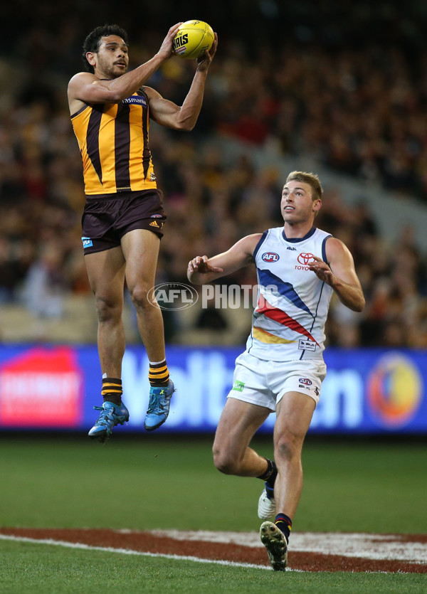 AFL 2015 Second Semi Final - Hawthorn v Adelaide - 404399