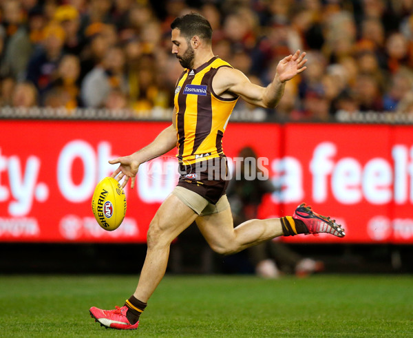 AFL 2015 Second Semi Final - Hawthorn v Adelaide - 404427