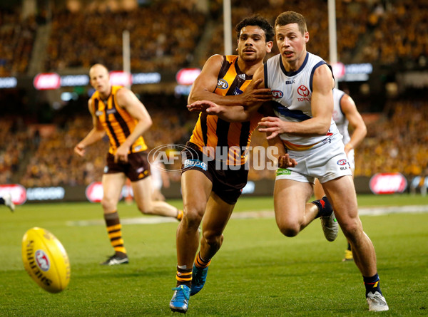 AFL 2015 Second Semi Final - Hawthorn v Adelaide - 404363