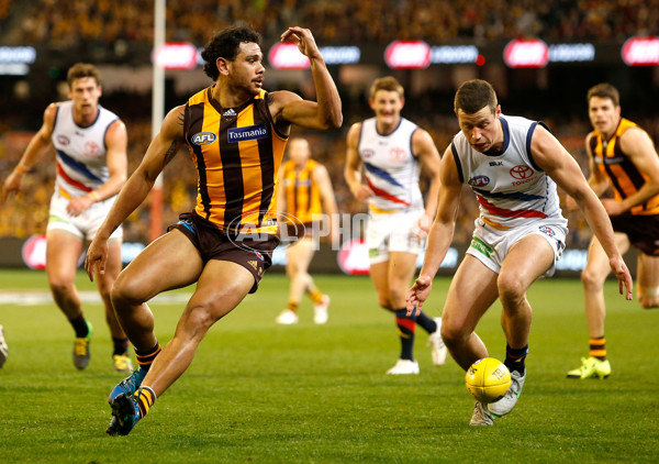 AFL 2015 Second Semi Final - Hawthorn v Adelaide - 404362