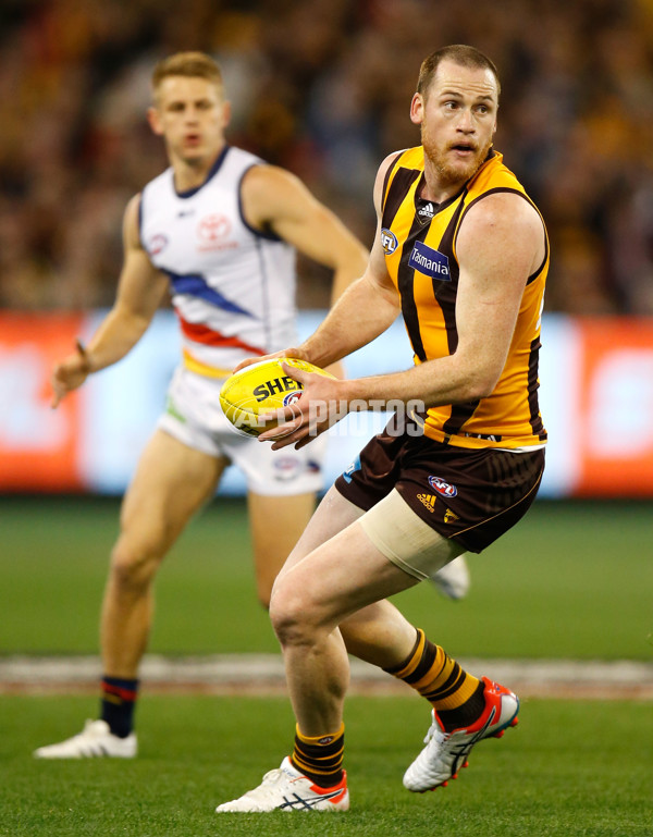 AFL 2015 Second Semi Final - Hawthorn v Adelaide - 404360