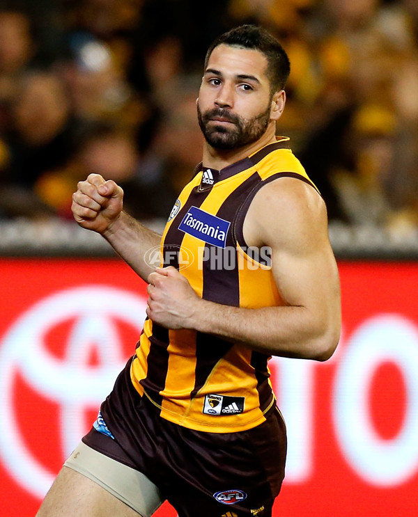 AFL 2015 Second Semi Final - Hawthorn v Adelaide - 404428