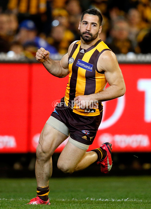 AFL 2015 Second Semi Final - Hawthorn v Adelaide - 404429