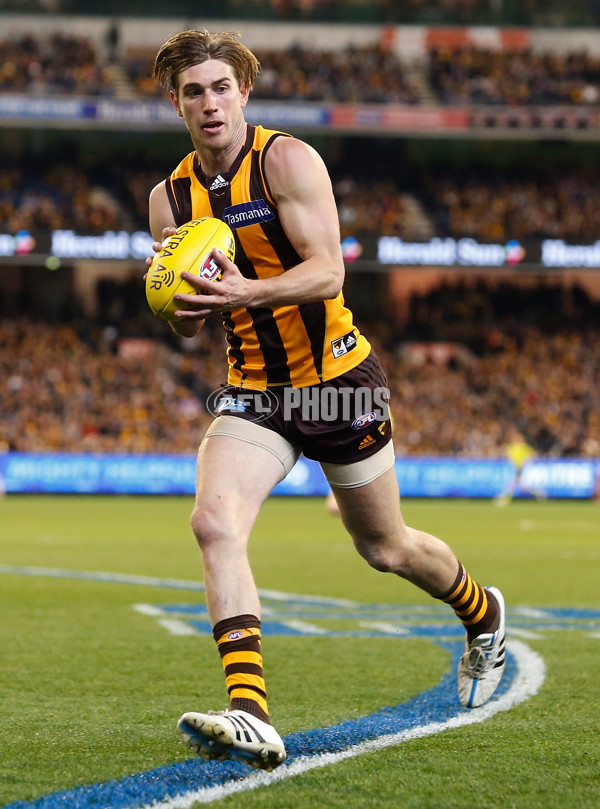 AFL 2015 Second Semi Final - Hawthorn v Adelaide - 404487