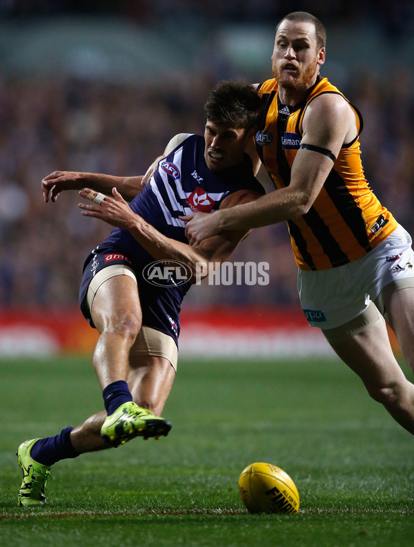 AFL 2015 First Preliminary Final - Fremantle v Hawthorn - 405336