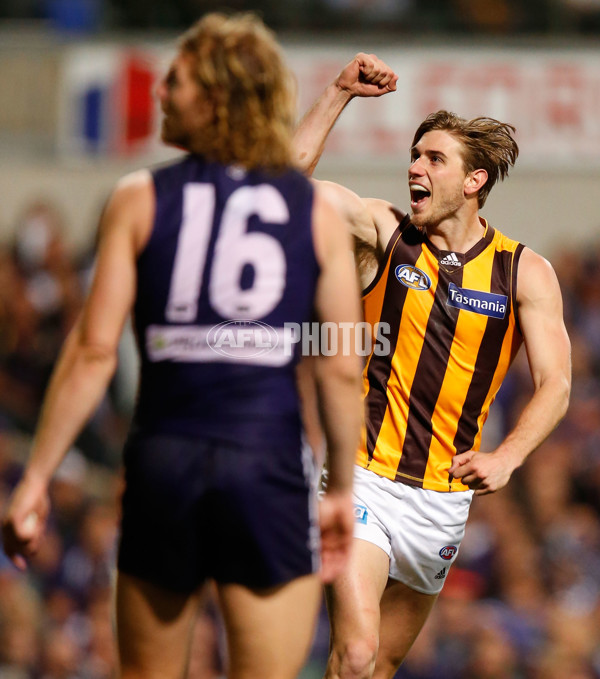 AFL 2015 First Preliminary Final - Fremantle v Hawthorn - 405387