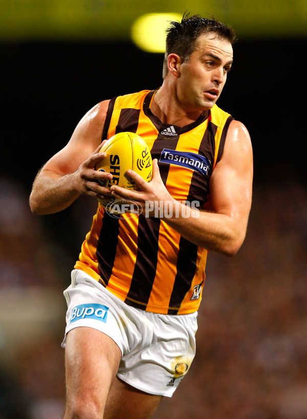 AFL 2015 First Preliminary Final - Fremantle v Hawthorn - 405350