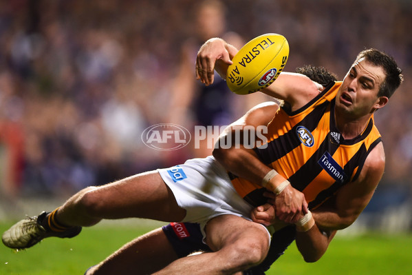 AFL 2015 First Preliminary Final - Fremantle v Hawthorn - 405430