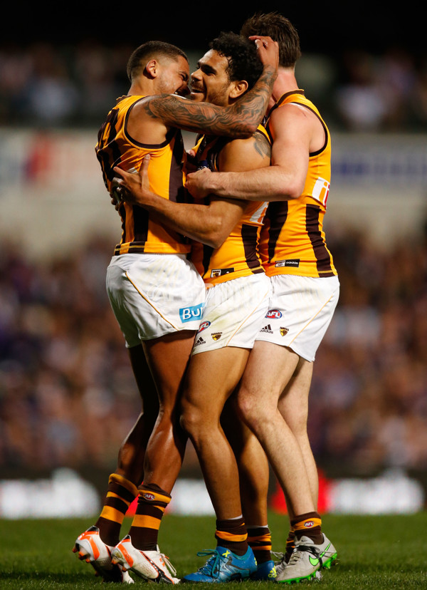 AFL 2015 First Preliminary Final - Fremantle v Hawthorn - 405511