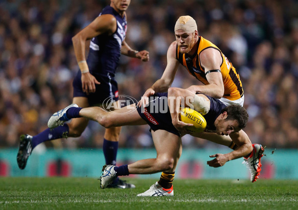 AFL 2015 First Preliminary Final - Fremantle v Hawthorn - 405419