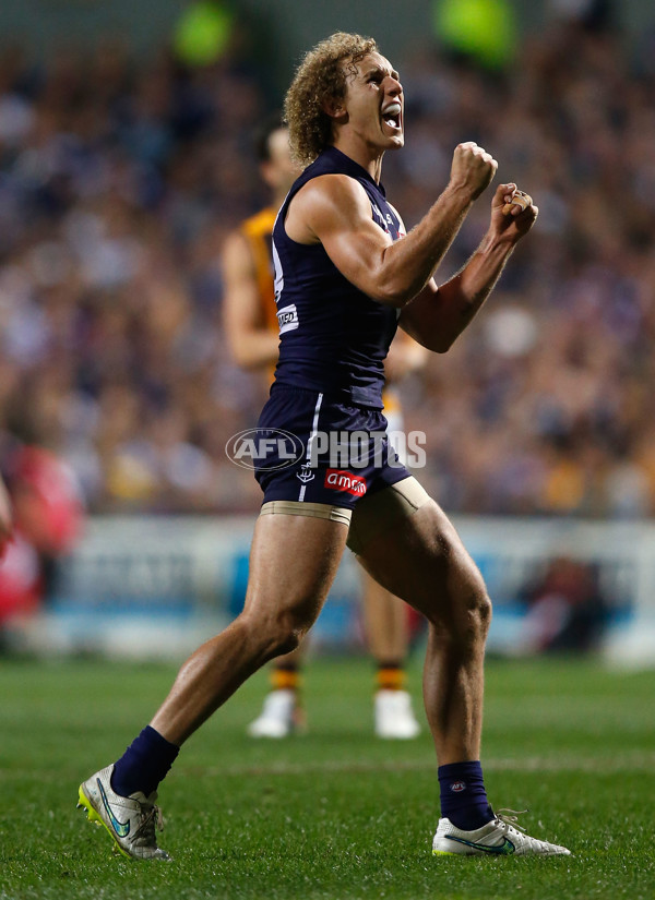 AFL 2015 First Preliminary Final - Fremantle v Hawthorn - 405483