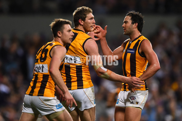 AFL 2015 First Preliminary Final - Fremantle v Hawthorn - 405485