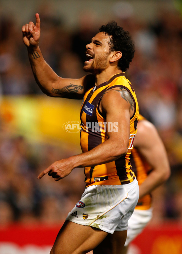 AFL 2015 First Preliminary Final - Fremantle v Hawthorn - 405523