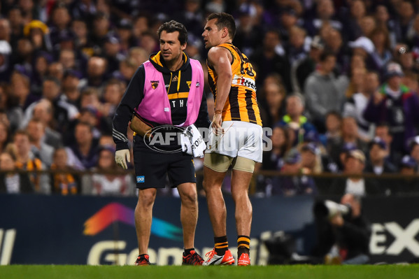 AFL 2015 First Preliminary Final - Fremantle v Hawthorn - 405528