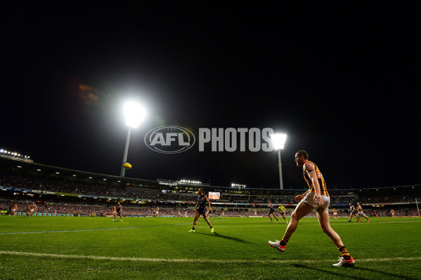 AFL 2015 First Preliminary Final - Fremantle v Hawthorn - 405537