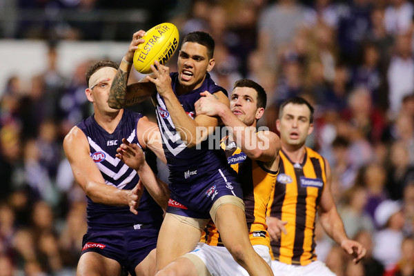 AFL 2015 First Preliminary Final - Fremantle v Hawthorn - 405535