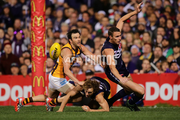 AFL 2015 First Preliminary Final - Fremantle v Hawthorn - 405561