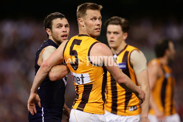 AFL 2015 First Preliminary Final - Fremantle v Hawthorn - 405619
