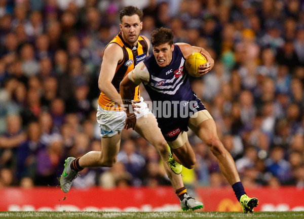 AFL 2015 First Preliminary Final - Fremantle v Hawthorn - 405657