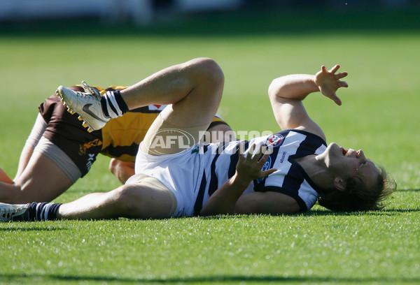 AFL Round 4 - Hawthorn v Geelong - 5136